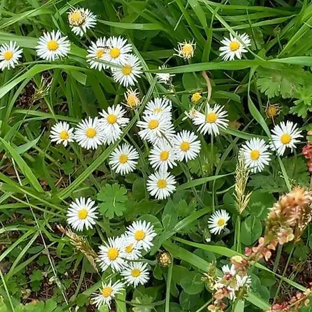 Casa Foletta Cugnasco
