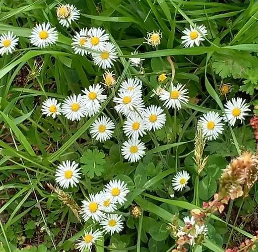 Casa Foletta Cugnasco