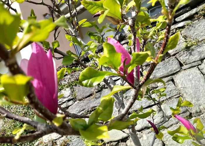 Casa Foletta Cugnasco