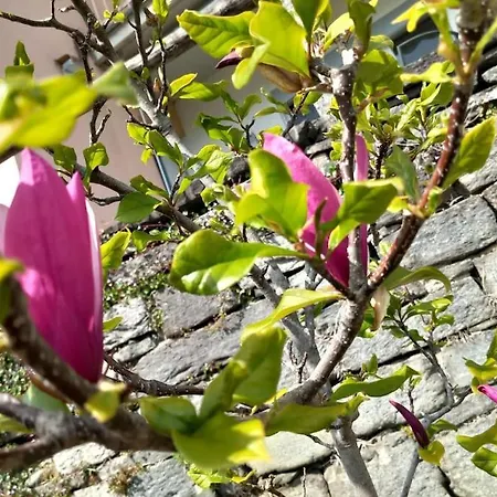 Casa Foletta Cugnasco