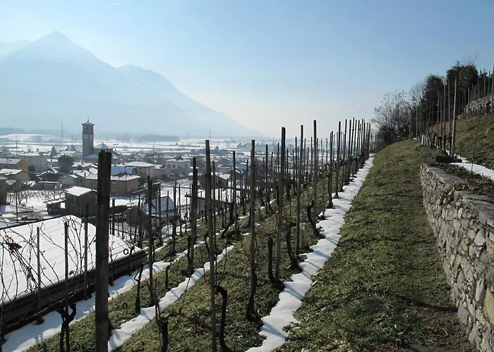 Casa Foletta Apartment *